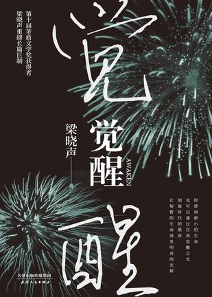 觉醒（2020年精装版）