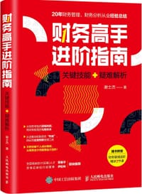 财务高手进阶指南 关键技能 疑难解析