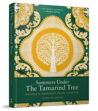 Summers Under The Tamarind Tree