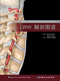 LWW解剖图谱