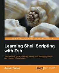 Learning Shell Scripting with Zsh