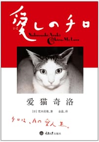 爱猫奇洛