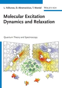 Molecular Excitation Dynamics and Relaxation