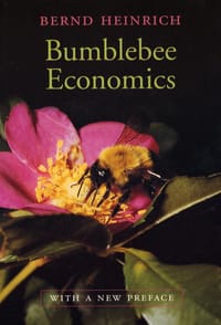 Bumblebee Economics