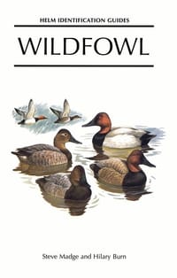 Wildfowl