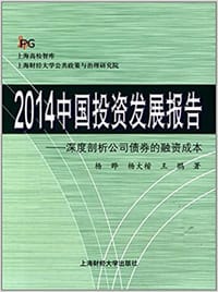 2014中国投资发展报告