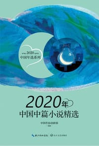 2020年中国中篇小说精选