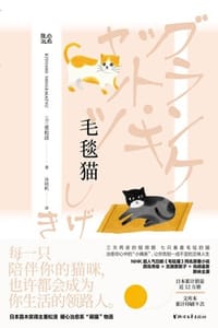 毛毯猫