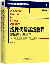 线性代数高级教程